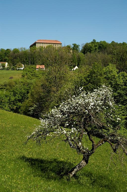 Gasthof Adler Шиллингсфюрст Экстерьер фото